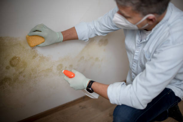 Spencer, TN Mold Remediation Company