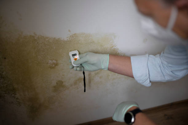 Best Industrial Mold Remediation in Spencer, TN